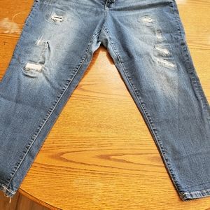 Womens Jeans Plus Size 22